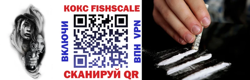 Купить закладки  Карачаевск  Cocaine Эквадор 