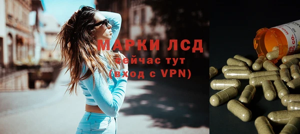 гашик Инта