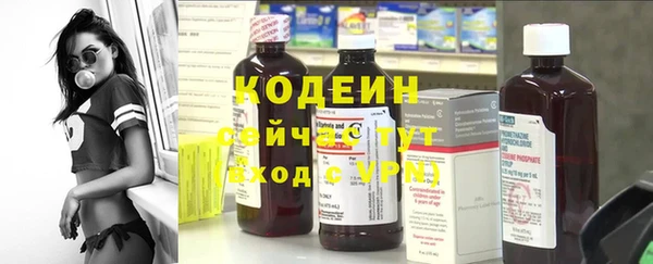 эйфоретик Инсар
