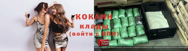гашик Инта