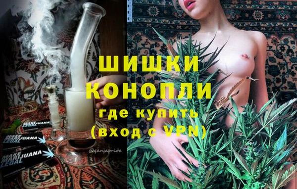 гашик Инта