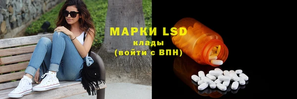 эйфоретик Инсар