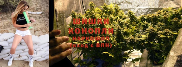 эйфоретик Инсар