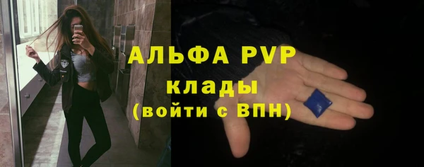 эйфоретик Инсар