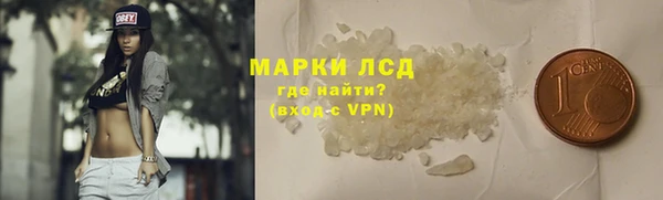 гашик Инта