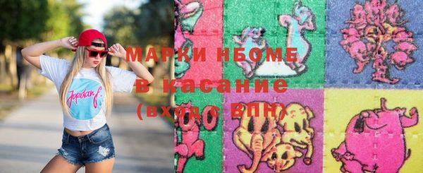 гашик Инта