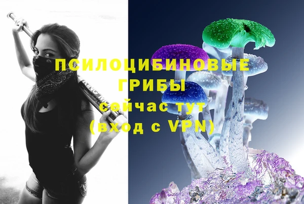 гашик Инта