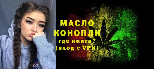 гашик Инта