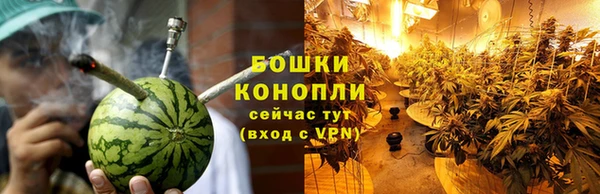 гашик Инта