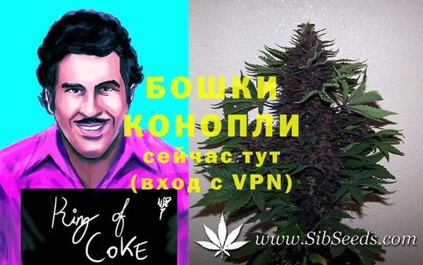 гашик Инта