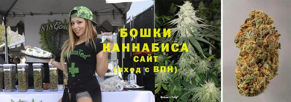 гашик Инта