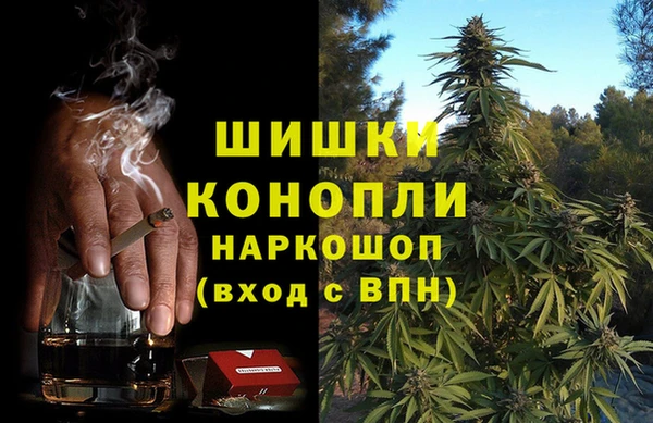 эйфоретик Инсар