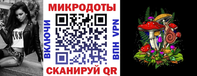 Псилоцибиновые грибы Psilocybine cubensis  Купить  Карачаевск 